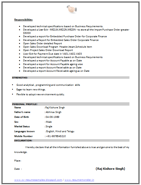 Resume templates sap testing